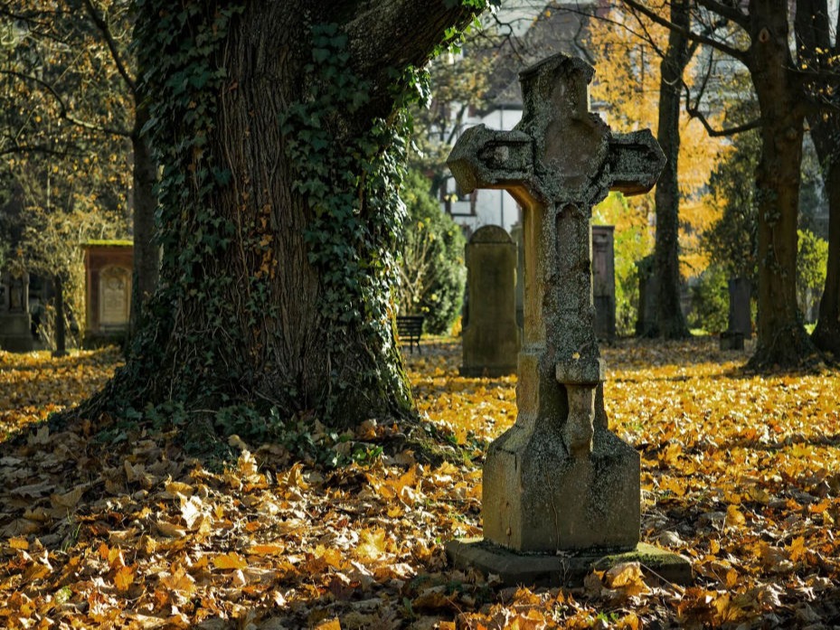 Sehen Sie sich unsere Beispiele zur Grabpflege an! Friedhof mit Baum und Grabstelle